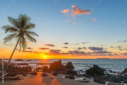 Fototapeta Naklejka Na Ścianę i Meble -  Silhouette of a palm tree and a sand beach inside Corcovado National Park with a view over the Pacific Ocean at sunset, Osa Peninsula, Costa Rica, Central America.