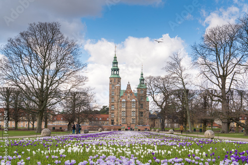 Beautiful crocus flowers in the garden. Sign of spring, Rosenborg slot, Copenhagen, Denmark