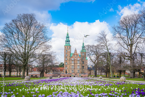 Beautiful crocus flowers in the garden. Sign of spring, Rosenborg slot, Copenhagen, Denmark