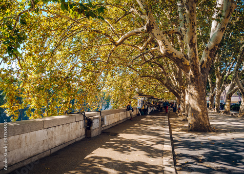 Photography Lungotevere, river bank along Tiber in autumn, Rome, Italy