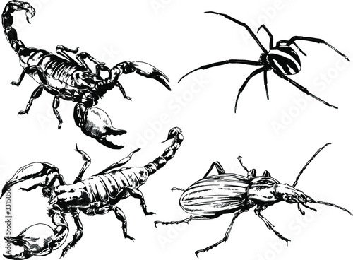 vector drawings sketches different insects bugs Scorpions spiders drawn in ink by hand , objects with no background