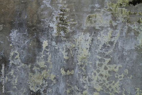 weathered wall with mold and cracked paint