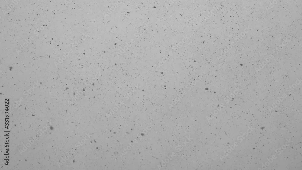 Natural background with snow flakes against the sky Natural background with snow flakes against the sky