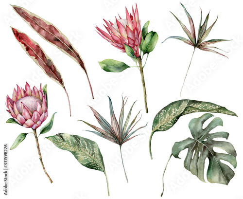 Watercolor tropical set with protea and palm leaves. Hand painted exotic flower, palm and monstera leaves isolated on white background. Floral illustration for design, print, fabric or background.