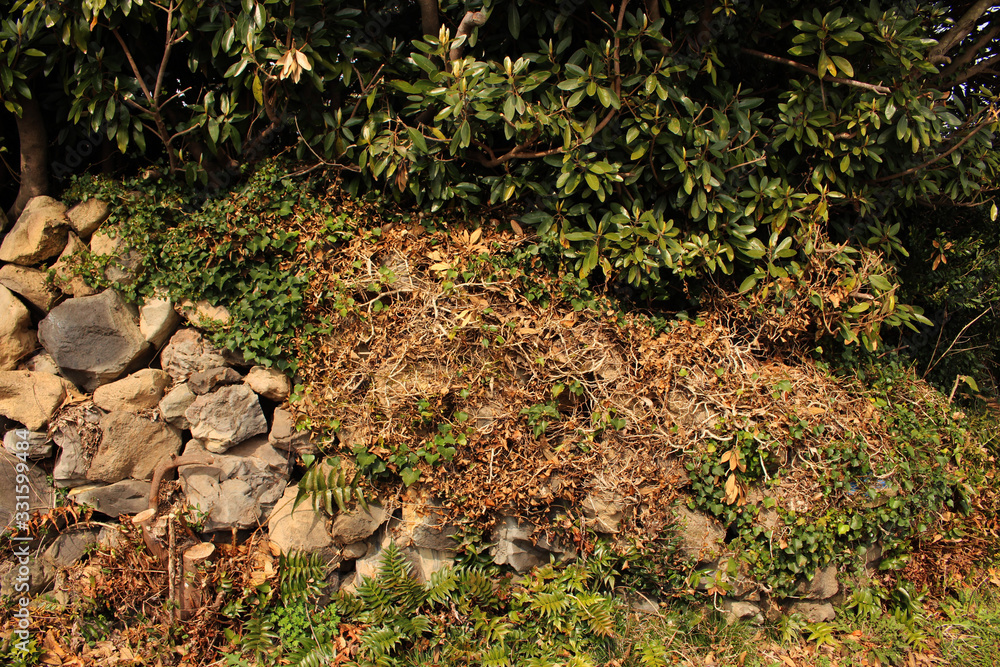 Jeju Olle Trail Route 5 : Beautiful Scenery of Jeju Island, Korea Jeju Olle Trail Route 5 : Beautiful Scenery of Jeju Island, Korea