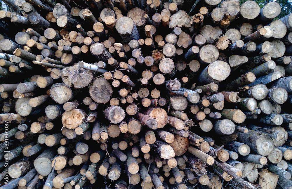 felling of trees in the forest, bringing global warming and environmental disaster, harvest firewood and wood in large quantities, felling of trees in the forest, bringing global warming and environmental disaster, harvest firewood and wood in large quantities,