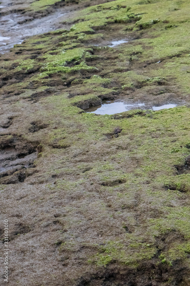 Beautiful stones on the Jeju island