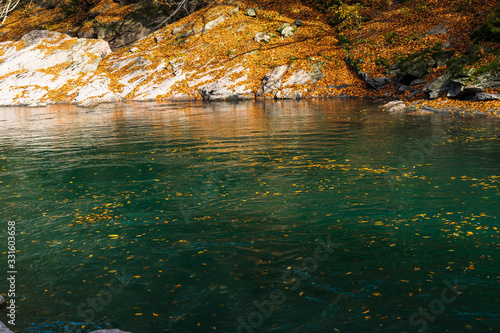 Fototapeta Naklejka Na Ścianę i Meble -  Clean mountain river in the autumn forest.