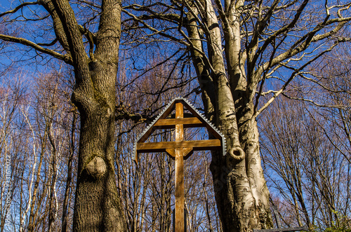 Fototapeta Naklejka Na Ścianę i Meble -  cmentarz z I woj. św. nr 83