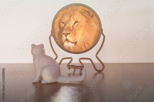 Kitten looks in the mirror and sees himself reflected like a lion. Self-confidence concept. Business or personal growth. photo
