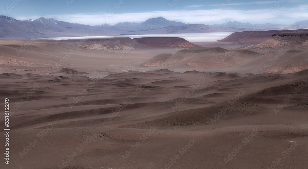 Landscape at the Puna de Atacama with Llullaillaco volcano in the background, Argentina