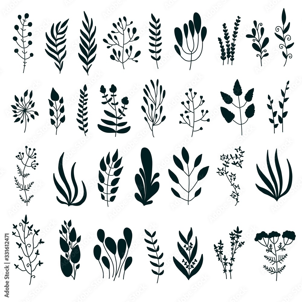 Doodle floral elements set. Hand drawn leaves isolated on white background.