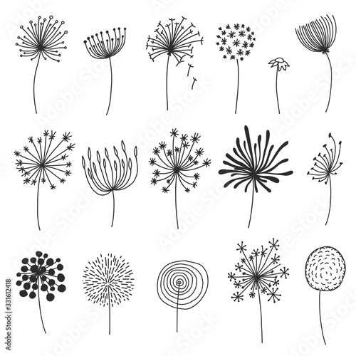 Doodle dandelion set. Hand drawn blowballs or flowers with fluffy seeds, floral silhouettes design elements