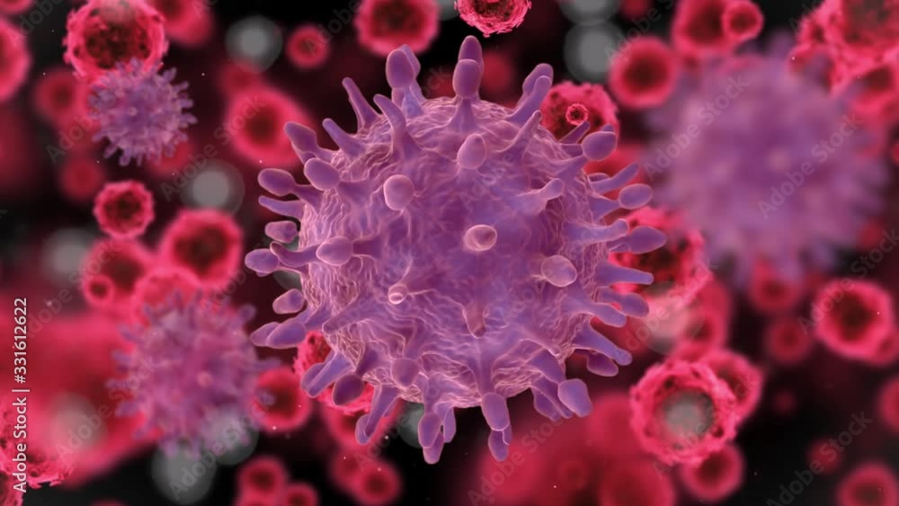Covid 19 Coronavirus Cells 4k Covid 19 Coronavirus Cells 4k