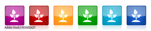 Nature plant icon set, organic, ecology colorful square glossy vector illustrations in 6 options for web design and mobile applications