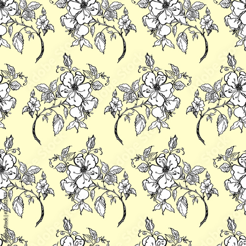  Graphic seamless pattern rosehips