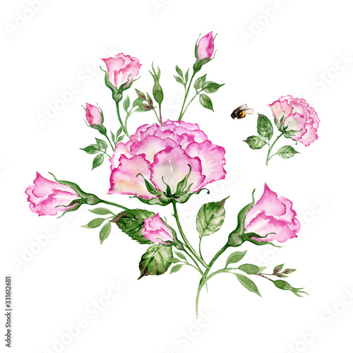 Watercolor a bouquet of roses and a bumblebee.