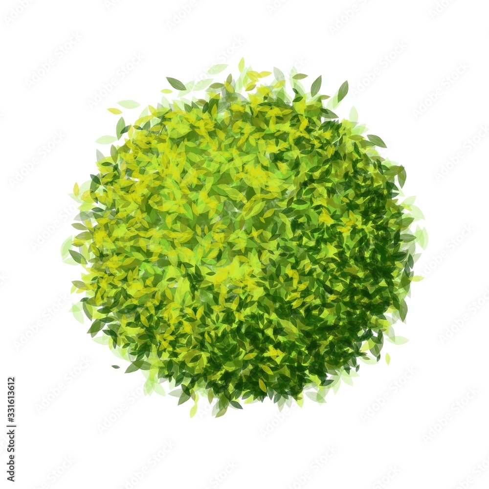 Fototapeta premium Tree top view isolated on white background for landscape plan
