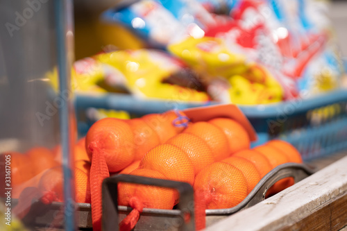 日本のみかん / 果物 / フルーツ