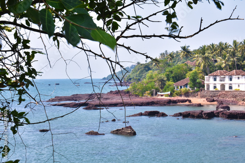 landscape image of the ocean in dona paula beach with unfocused tree branches