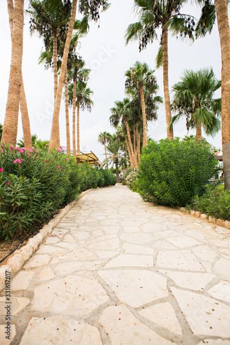Palm Tree Alley on Cyprus Island. Protaras.