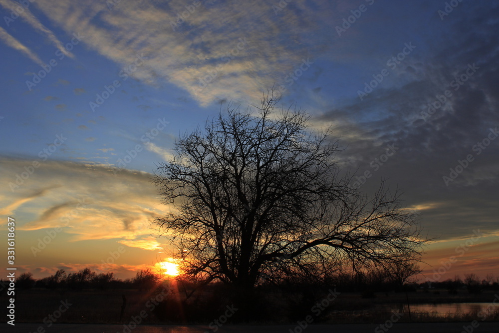 Kansas Tree silhouette at Sunset with a colorful sky. Kansas Tree silhouette at Sunset with a colorful sky.