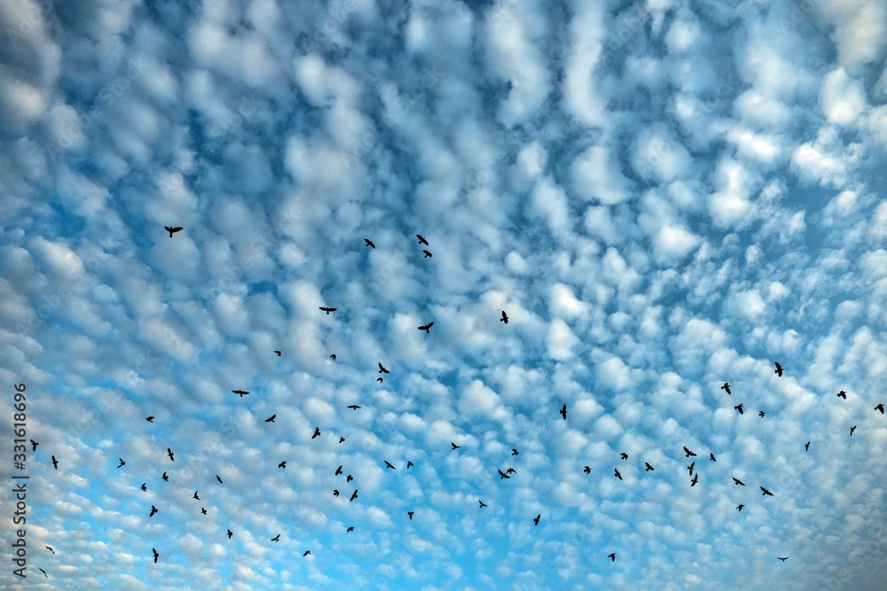 Obraz premium sky