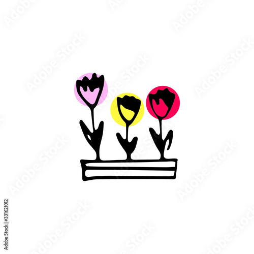 hand drawn home plant in doodle style in vector. decorative home plants