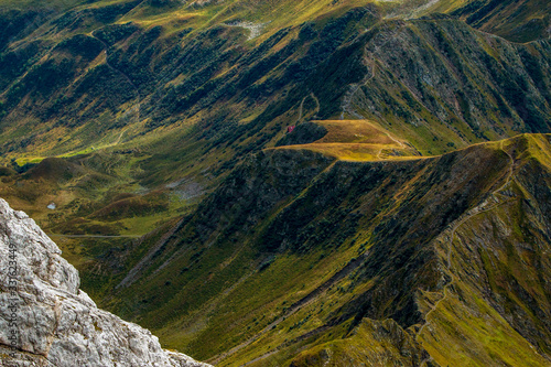 il verde alpino