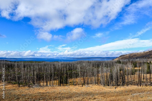 Majestic Landscape of the Trees and Lake in Yellowstone National Park, USA