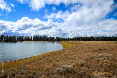 Majestic Landscape of the Trees and Lake in Yellowstone National Park  USA