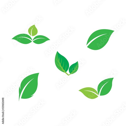 Set Leaf icon Vector Illustration design