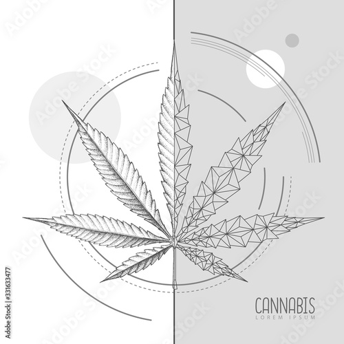 Realistic hand drawing and geometric cannabis leaf silhouette. Vector illustration