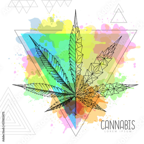 Realistic hand drawing and geometric cannabis leaf silhouette on artistic watercolor triangle background. Vector illustration