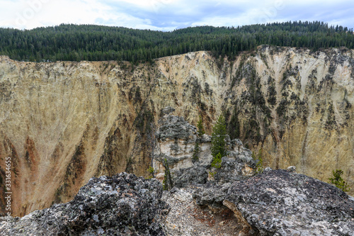 Mount River in the Forest of the Yellowstone National Park, USA