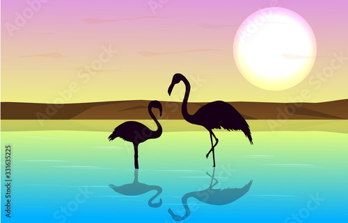 Beautiful colorful scene of the bright sun with a silhouette of two flamingos in the water.