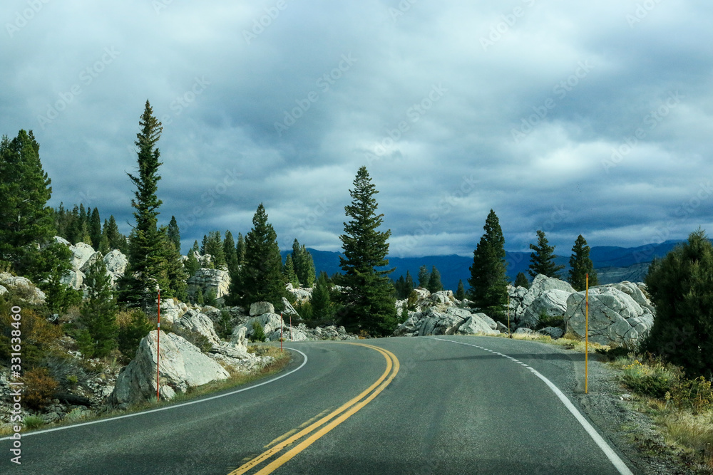 Naklejka premium Road way in the Forest of Yellowstone National Park, USA