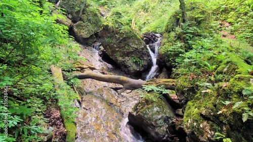 Natural water stream at serene Hudicev Graben, Slovenia photo