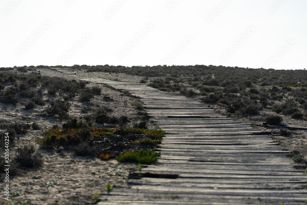 Natural gray wooden planks of a walking path Natural gray wooden planks of a walking path