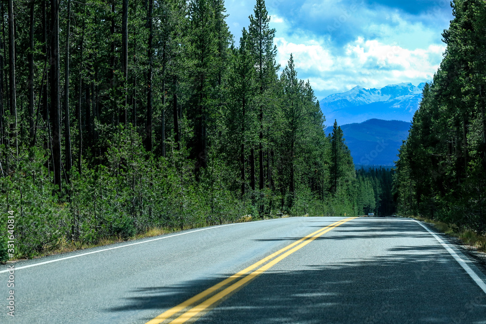 Naklejka premium Road way in the Forest of Yellowstone National Park, USA