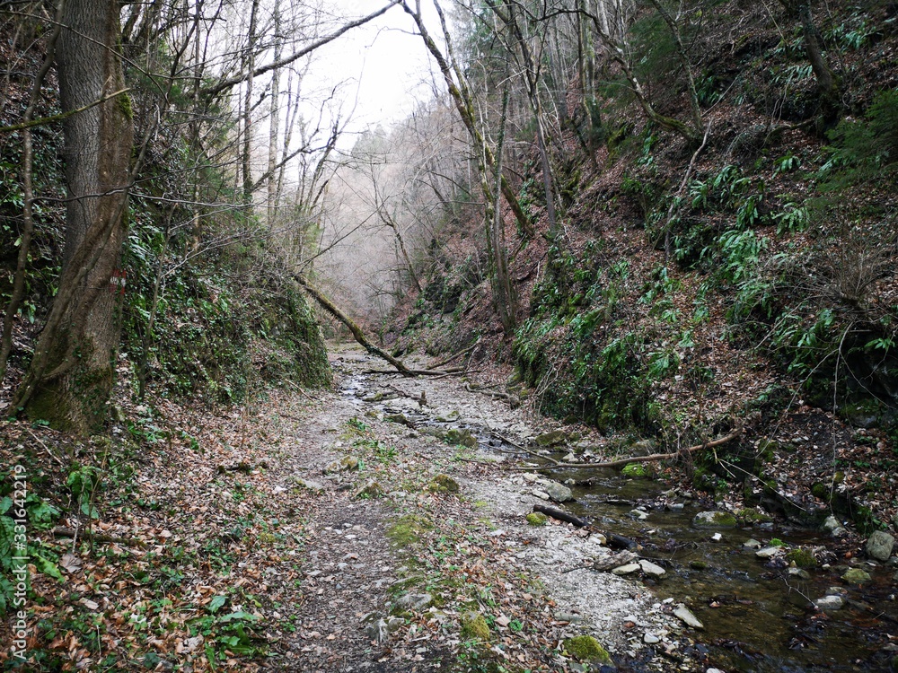 Badlschlucht Badl Peggau