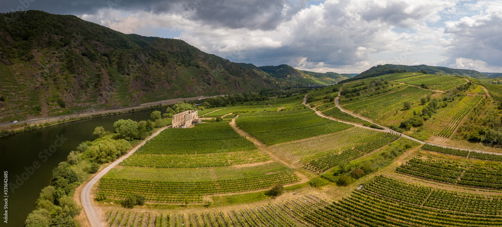 Vineyard in the Mosel Valley on a sunny and party cloudy day close to the Kloster Ruine Stuben and The Mosel Loop - drone aerial