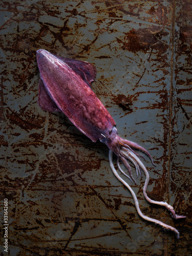 calamari red single