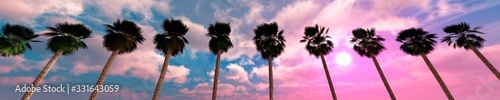 Palm trees in a row against the sunset sky, 3D rendering