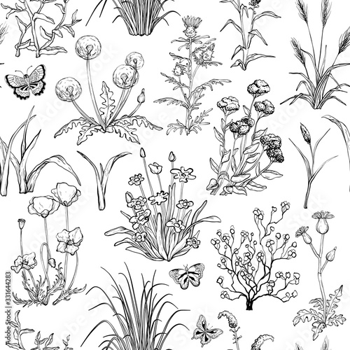 Fototapeta Naklejka Na Ścianę i Meble -  Seamless black and white pattern with Hand drawn Field herbs, flowers and grass