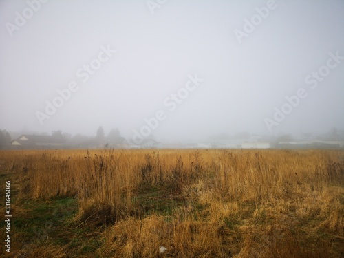 Nebel in Wohnsiedlung am Morgen