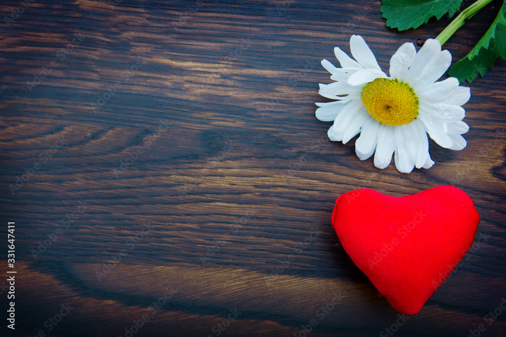 Obraz premium White marguerite and red heart on brown wooden background.