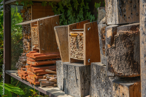 Bug hotel, dwelling for insects, protection of wildlife in the forest