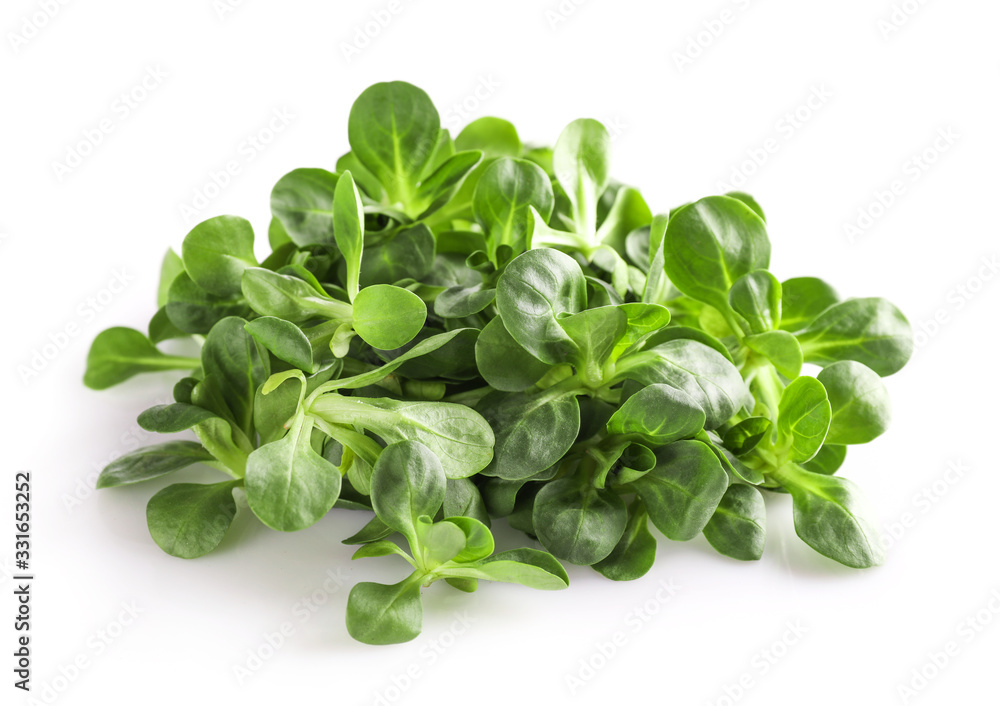 Corn salad, lamb's lettuce isolated on white background Corn salad, lamb's lettuce isolated on white background