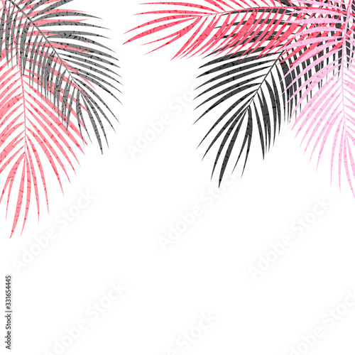 Palm Leaf Vector Background Illustration